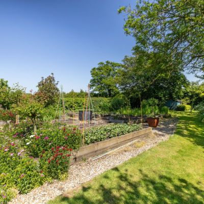 Kitchen Garden