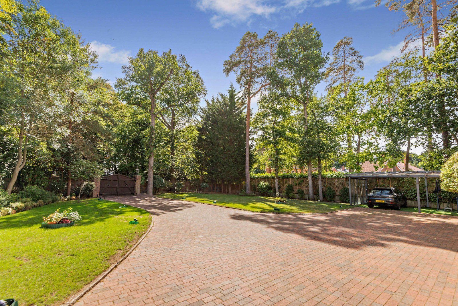 Front Garden & Drive