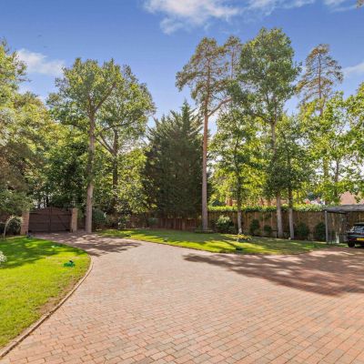 Front Garden & Drive