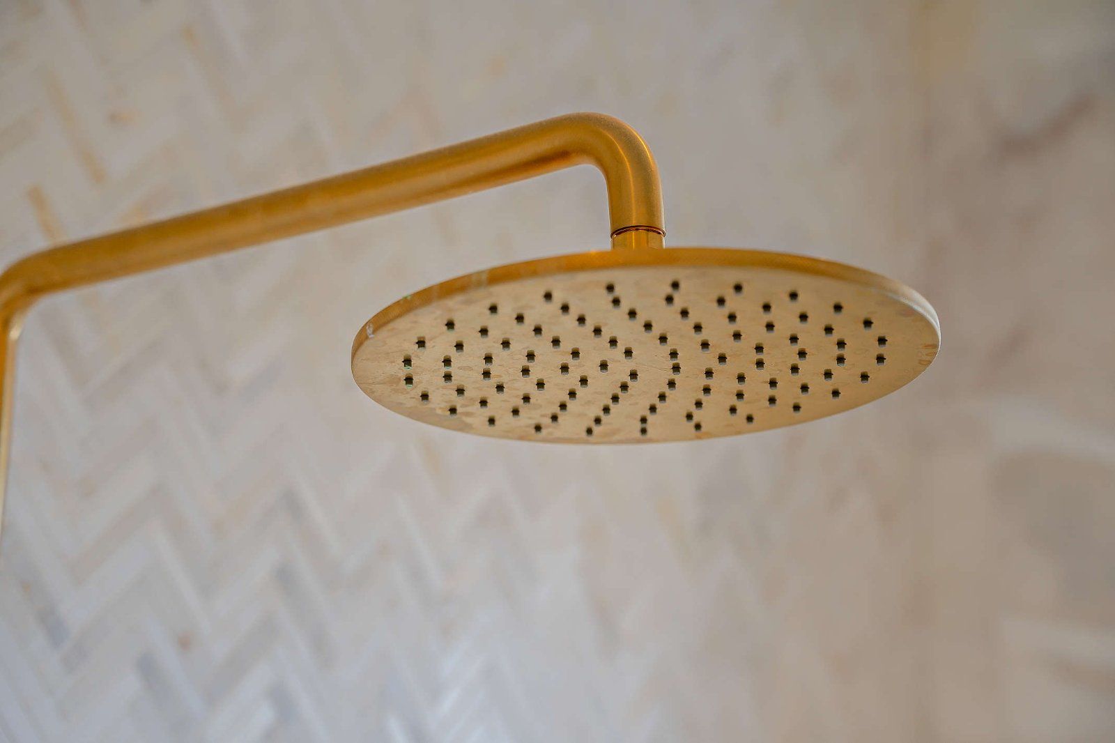 Rainfall Shower Head