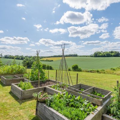 Vegetable Garden