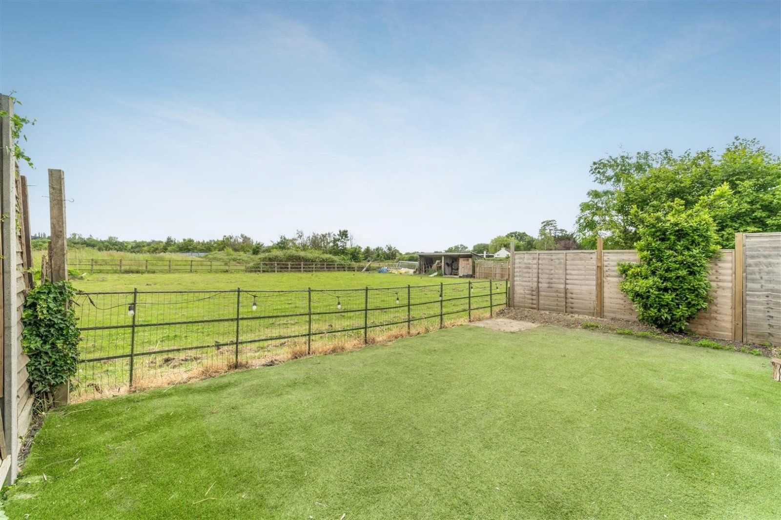 Garden With View