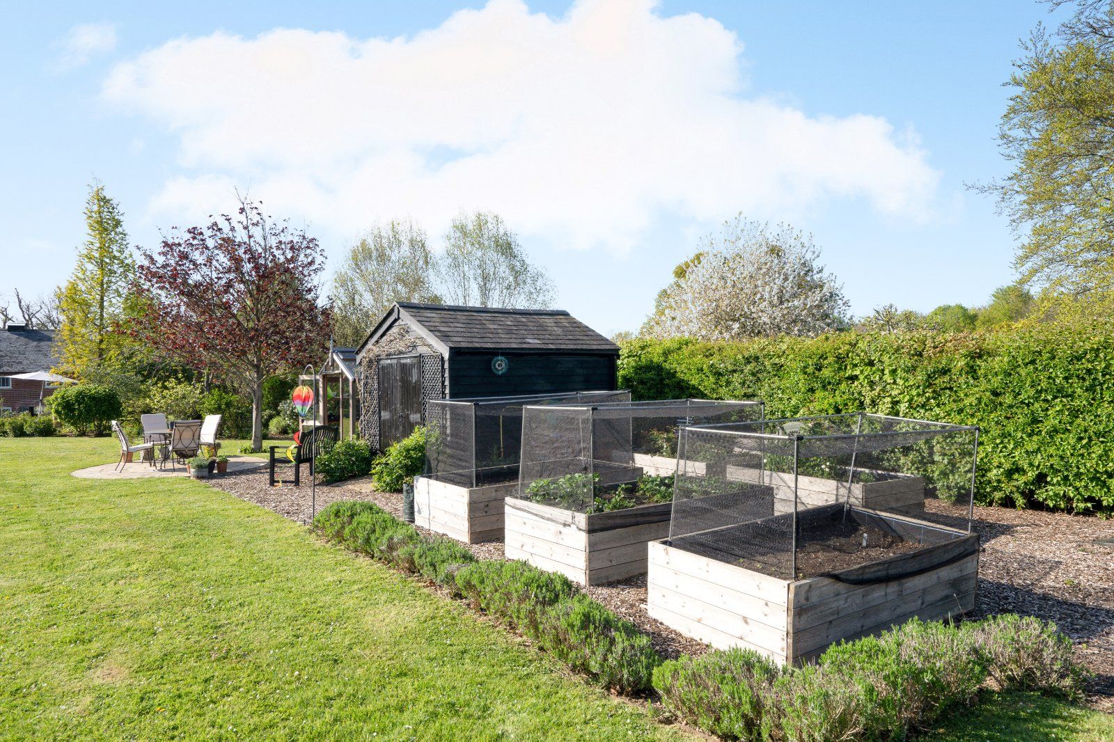 Kitchen Garden
