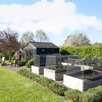 Kitchen Garden