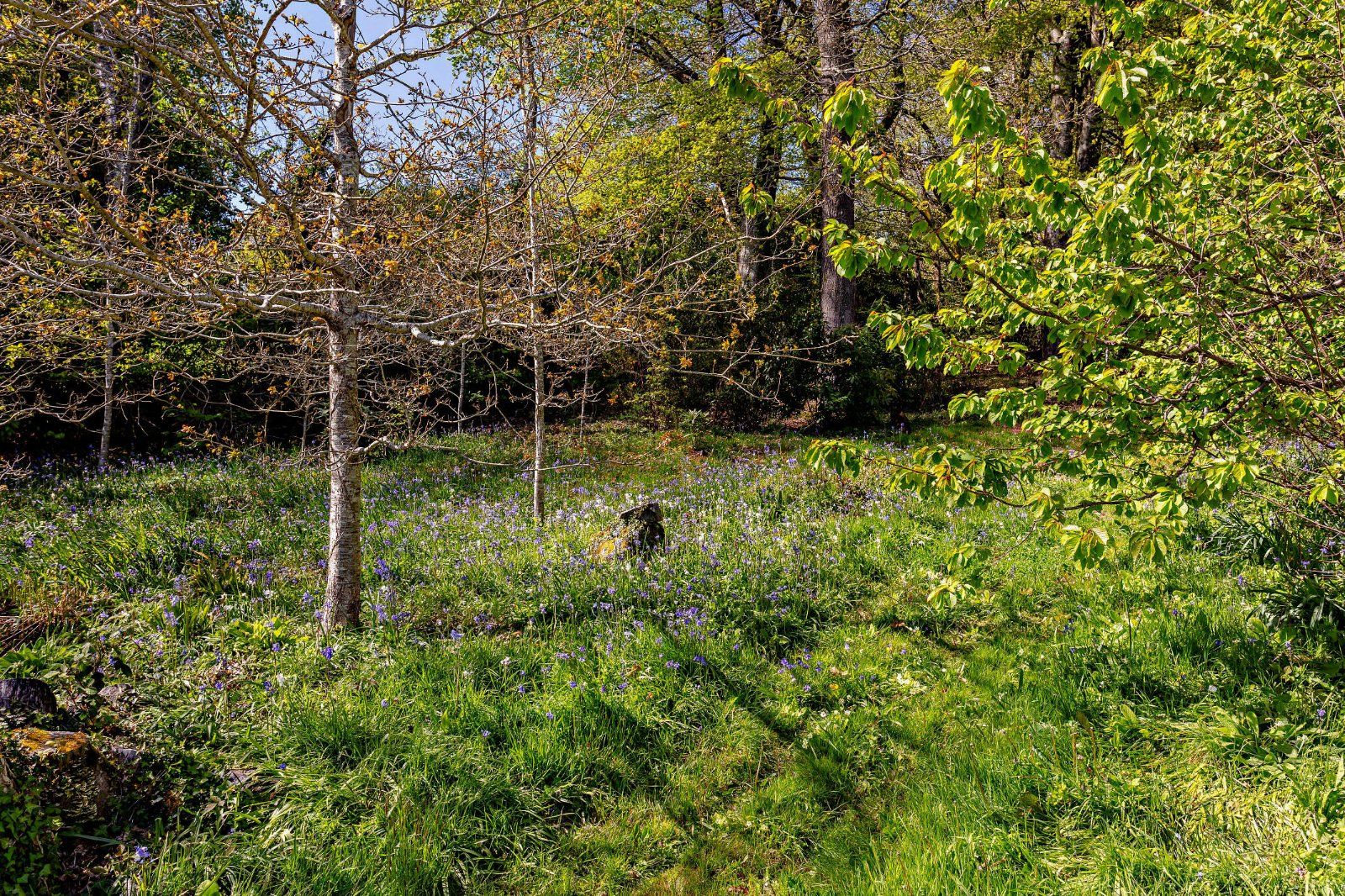 Grounds