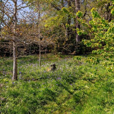 Grounds