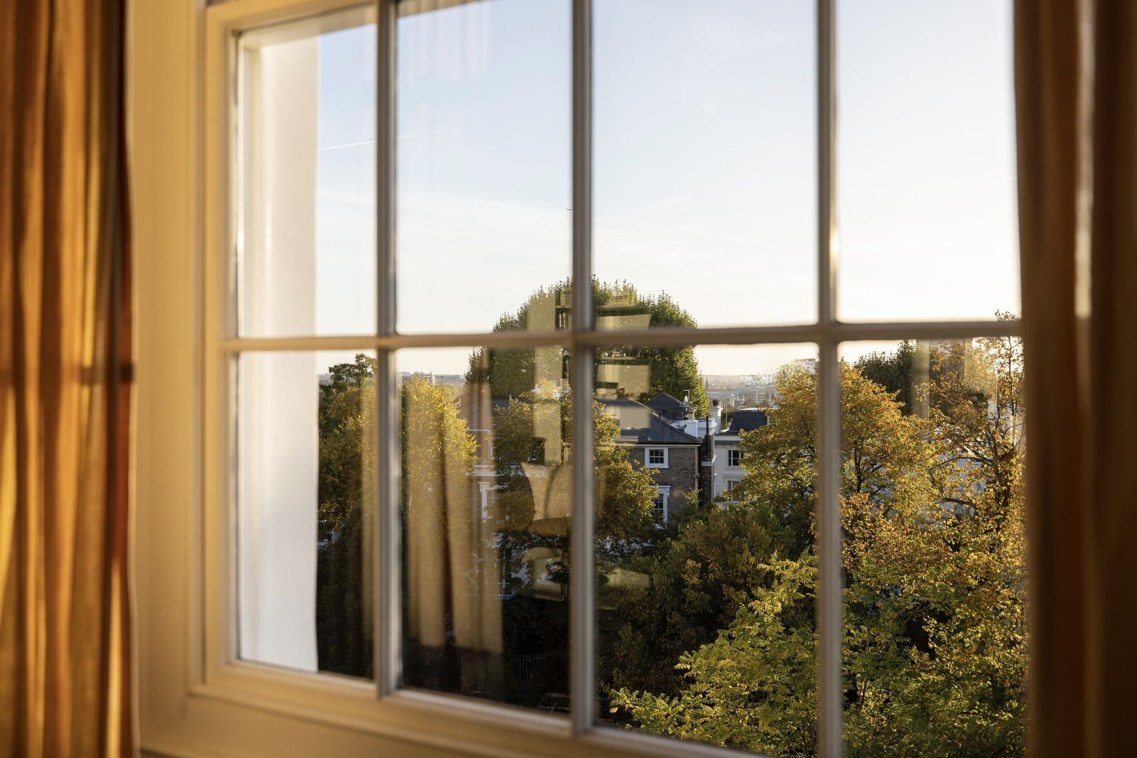 Window