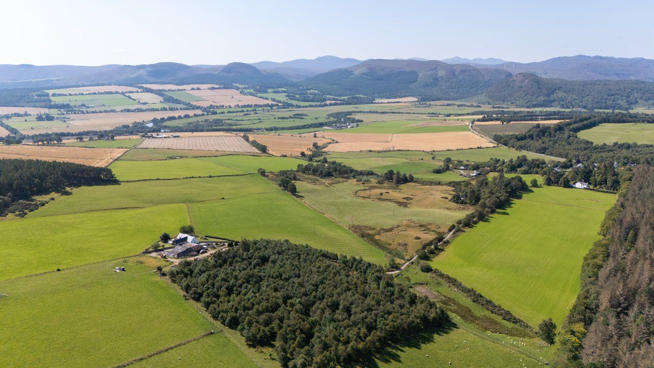 Lot 3 - Wester Moy