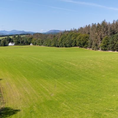 Lot 3 - Wester Moy