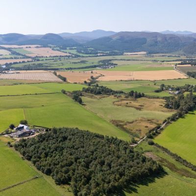 Lot 3 - Wester Moy