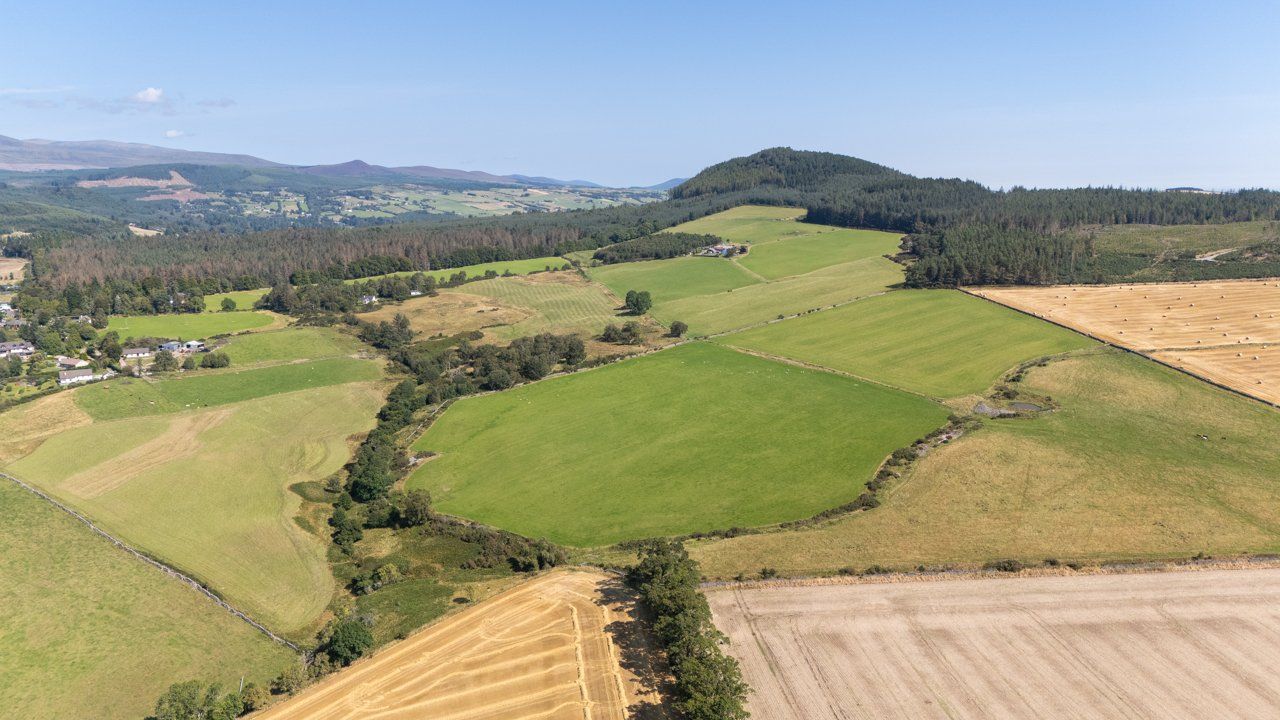 Lot 2 - Wester Moy