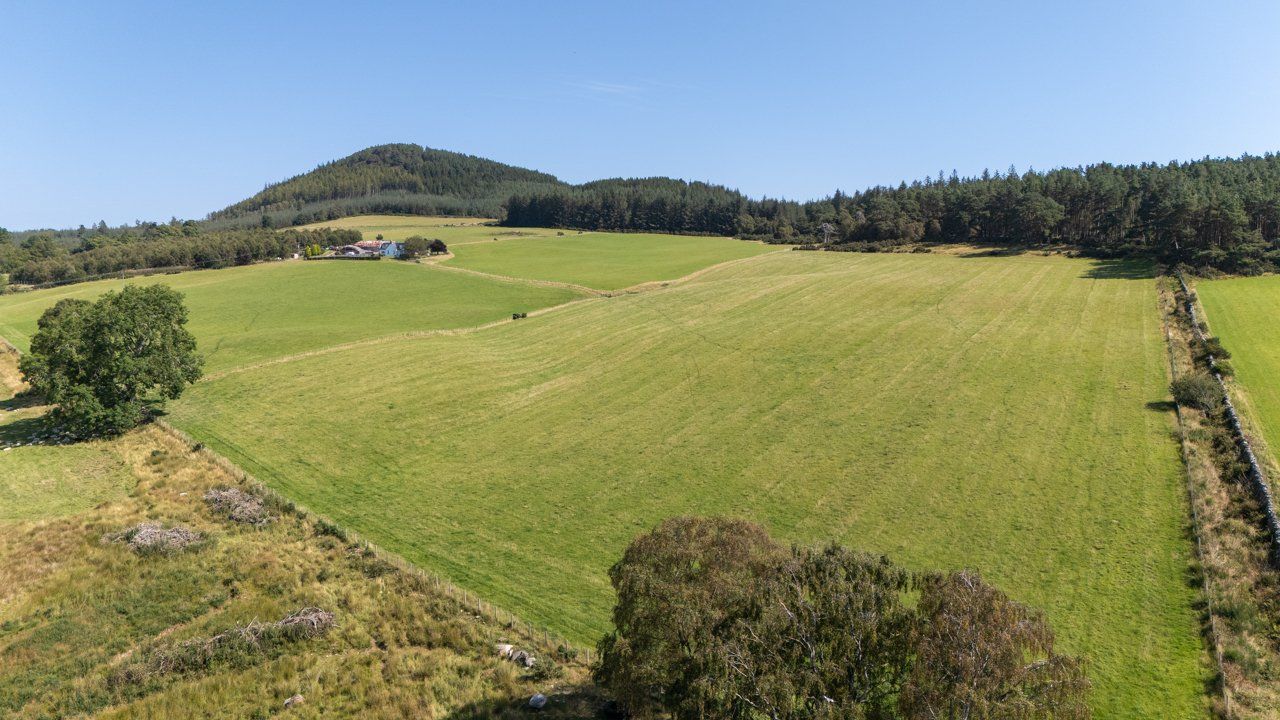 Lot 2 - Wester Moy