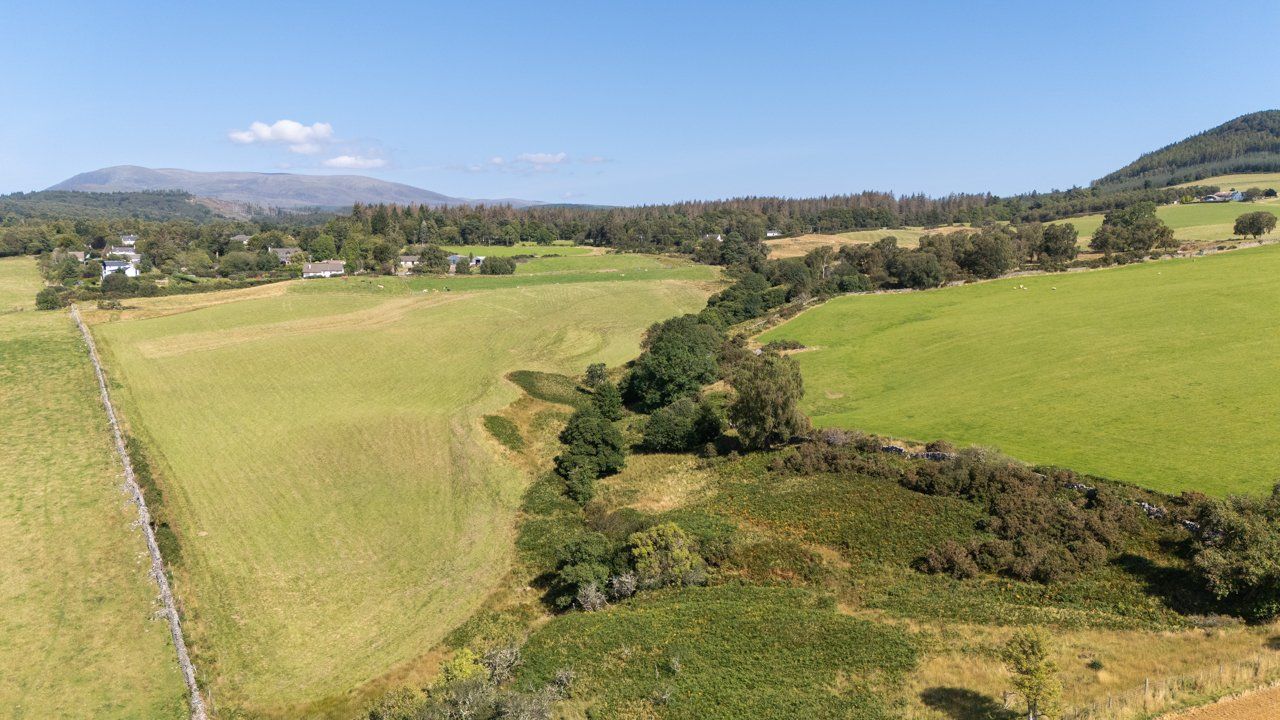 Lot 2 - Wester Moy