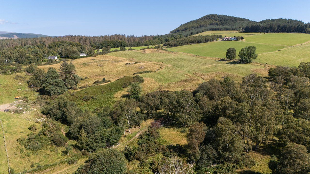 Lot 2 - Wester Moy