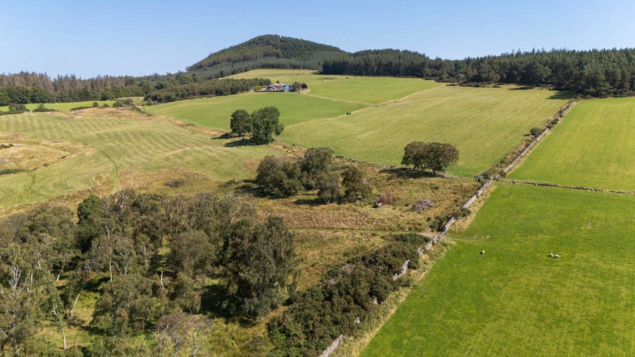 Lot 2 - Wester Moy