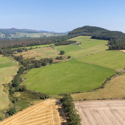 Lot 2 - Wester Moy