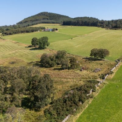 Lot 2 - Wester Moy