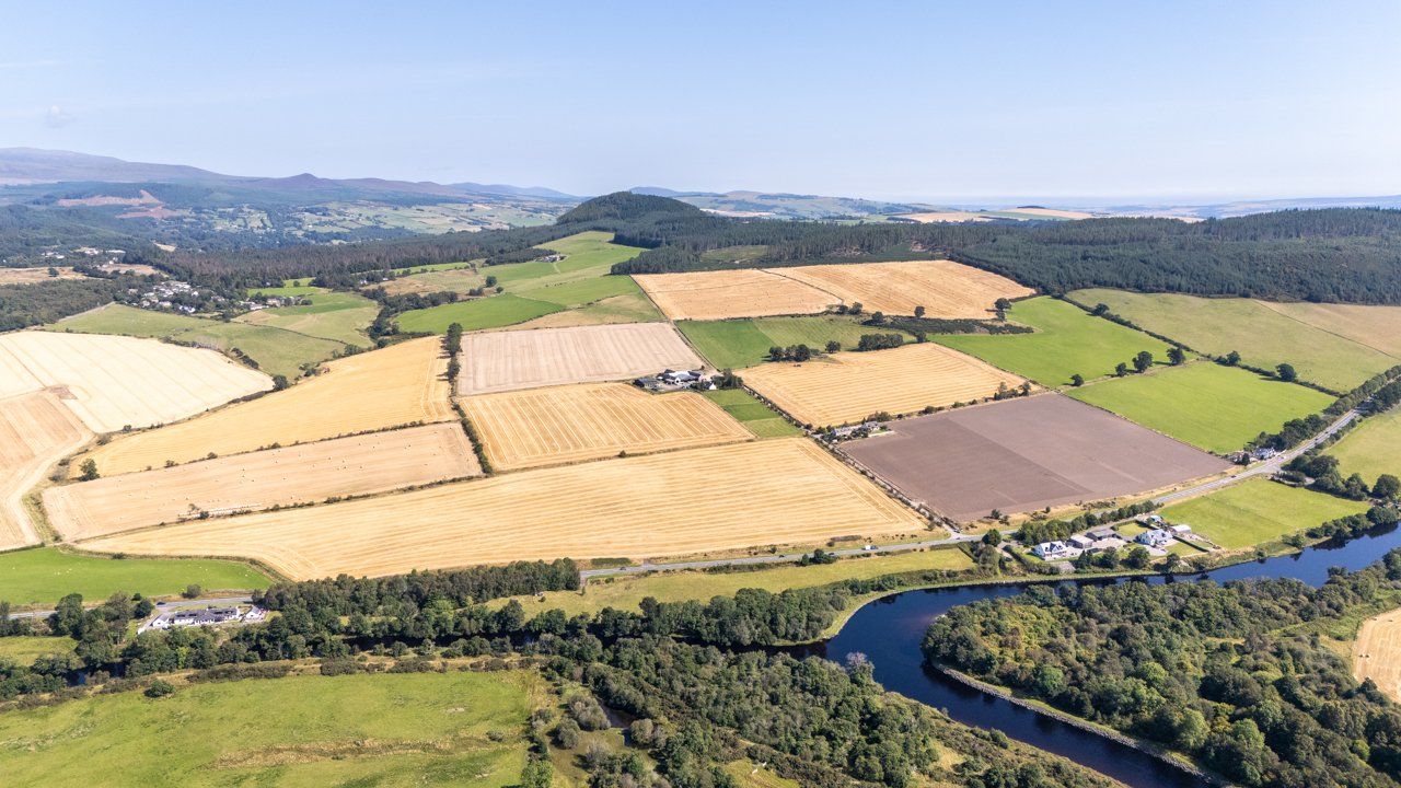 Lot 1 - Wester Moy
