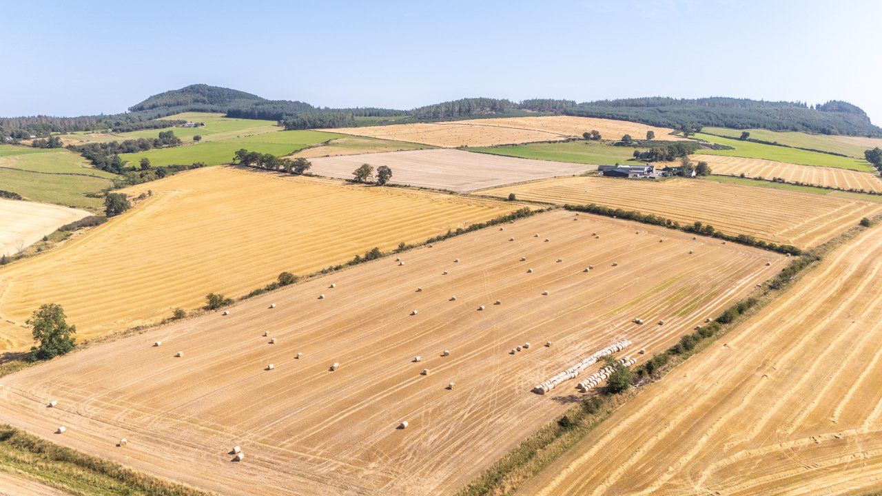 Lot 1 - Wester Moy