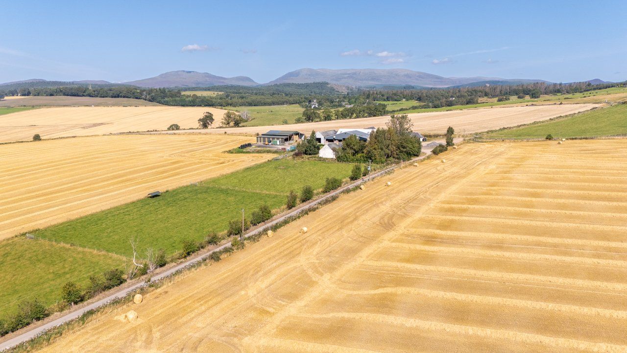 Lot 1 - Wester Moy