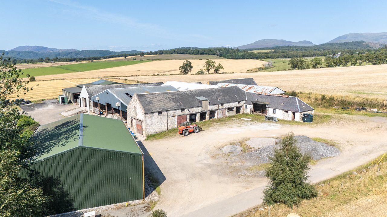 Lot 1 - Wester Moy
