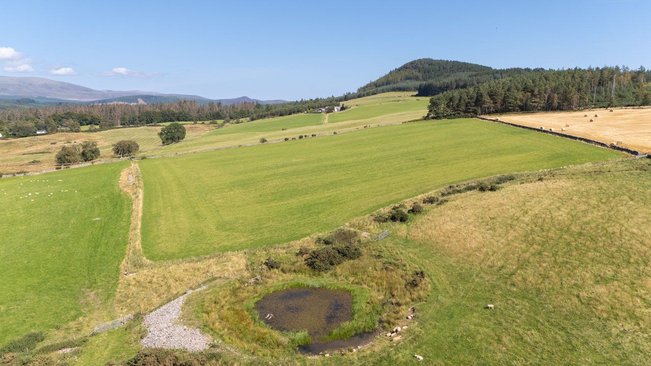 Lot 1 - Wester Moy