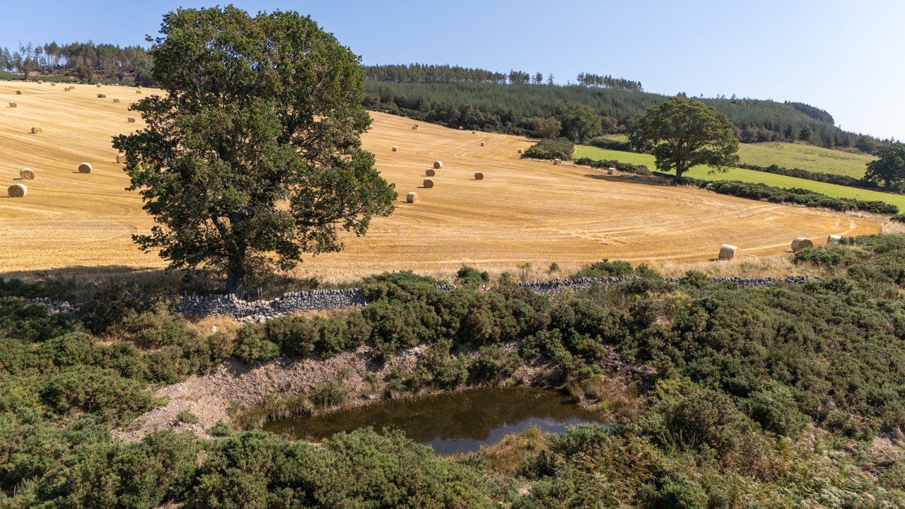 Lot 1 - Wester Moy