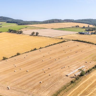 Lot 1 - Wester Moy