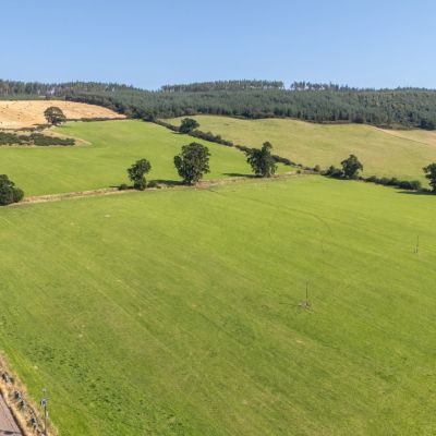 Lot 1 - Wester Moy