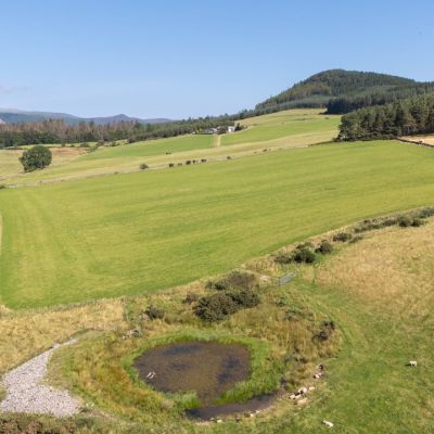 Lot 1 - Wester Moy