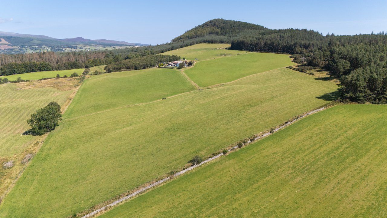 Wester Moy