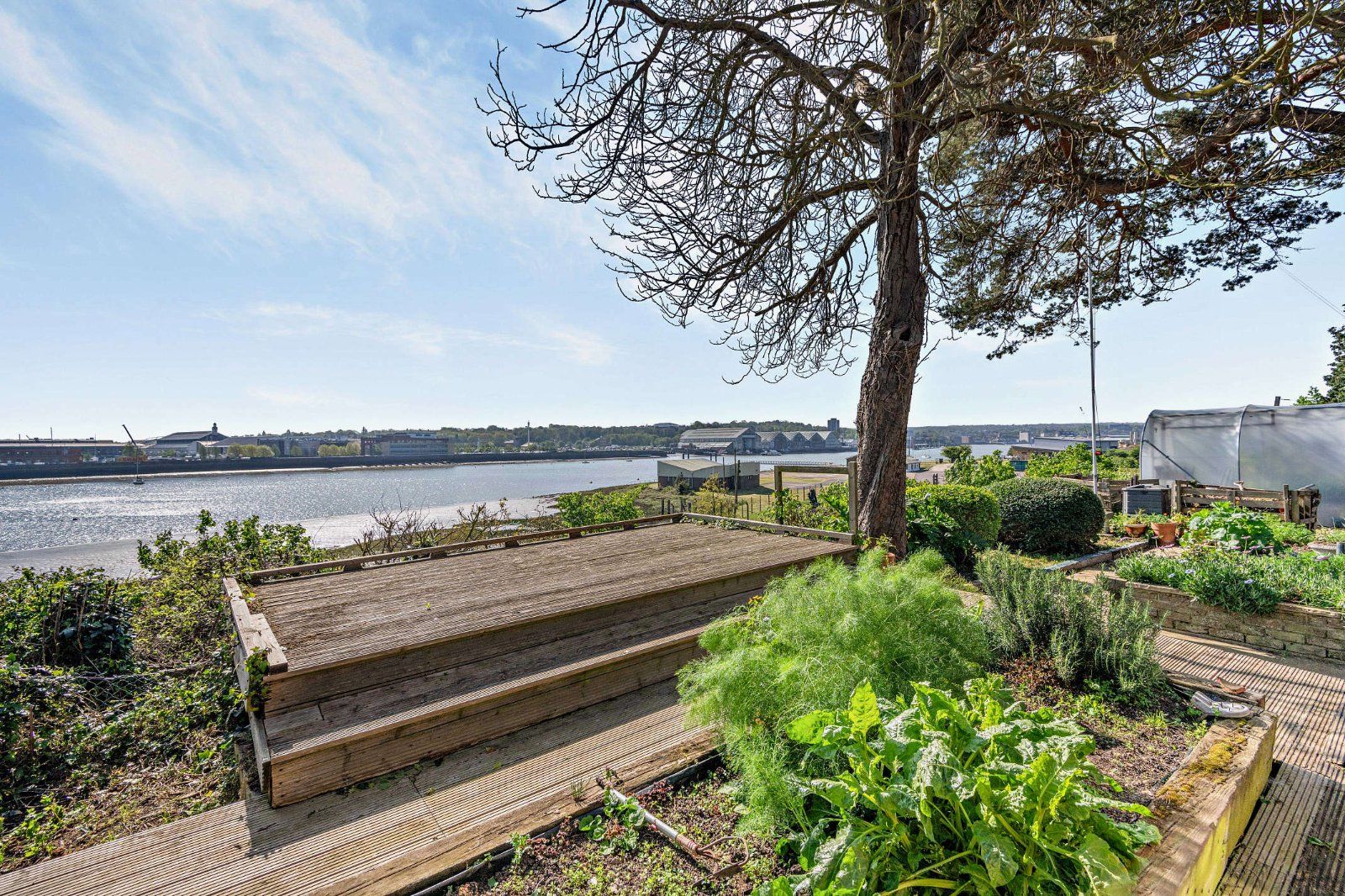Deck and View
