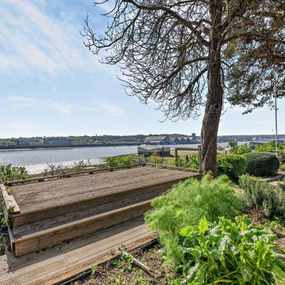 Deck and View