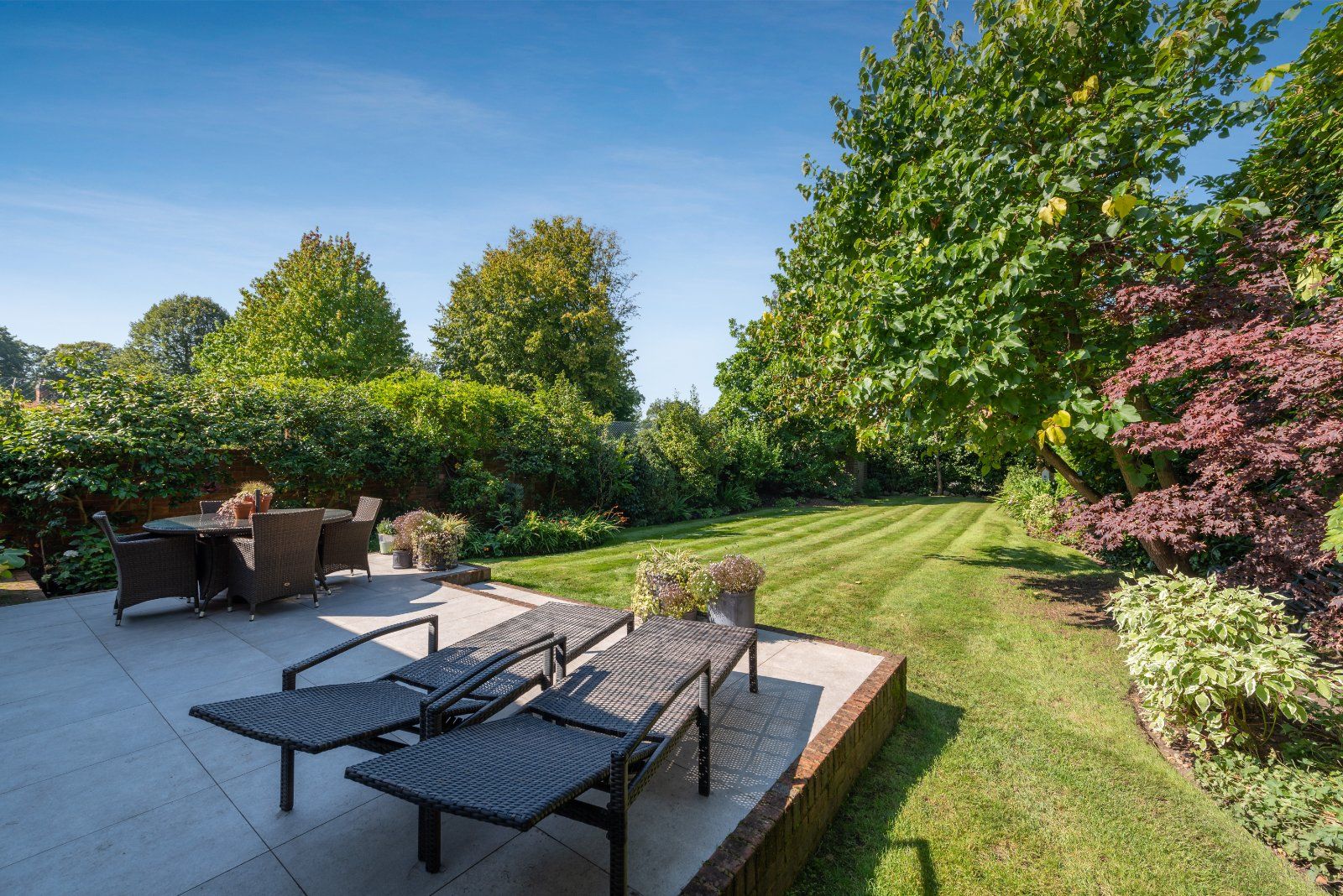 Patio and Garden
