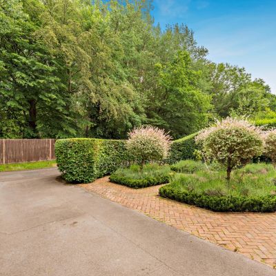 Drive/Front Garden