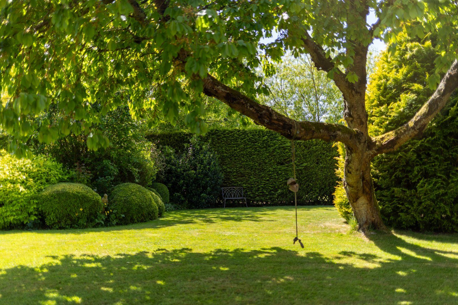 Grounds