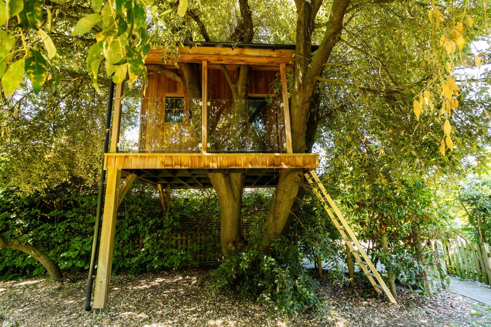 Tree House