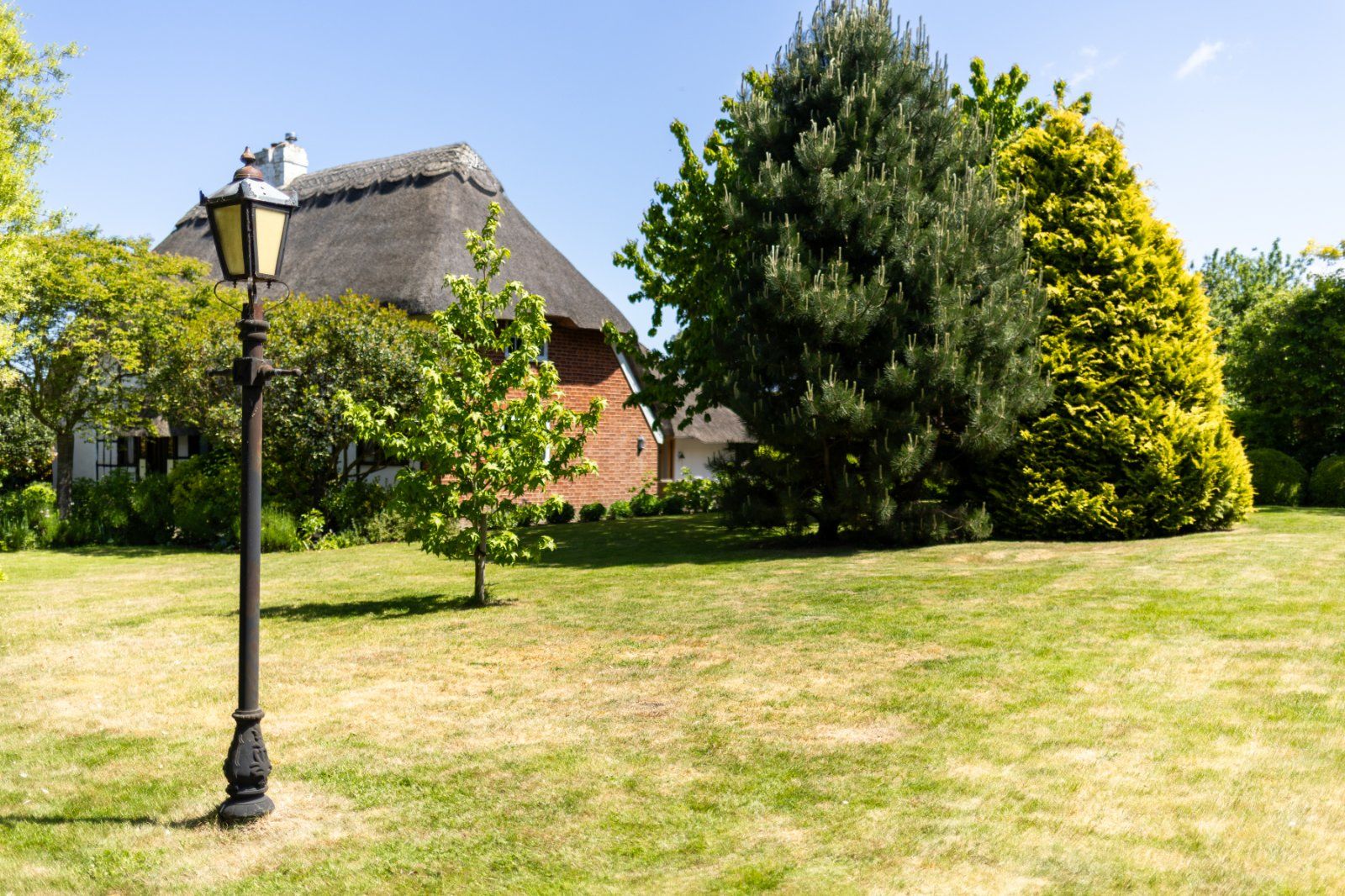 Grounds