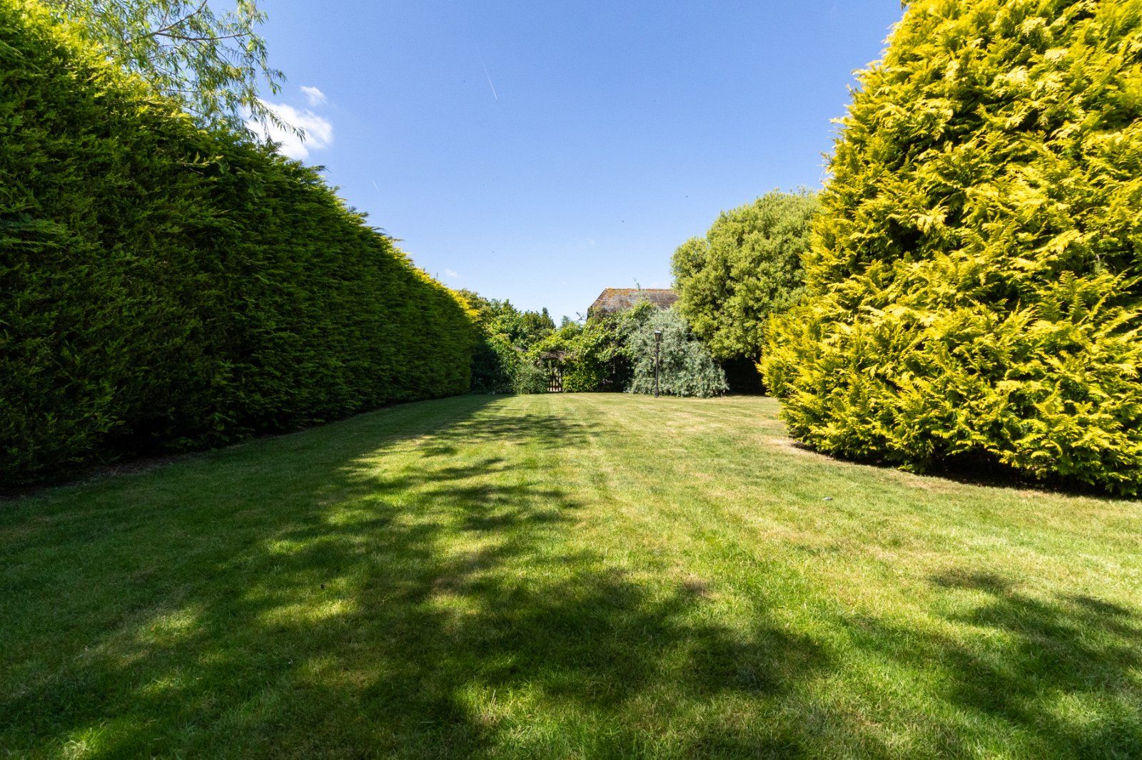 Grounds