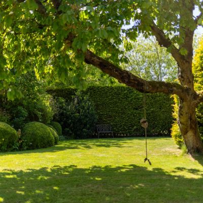 Grounds
