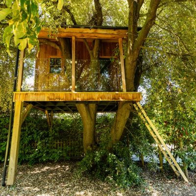 Tree House