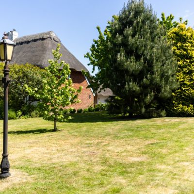 Grounds