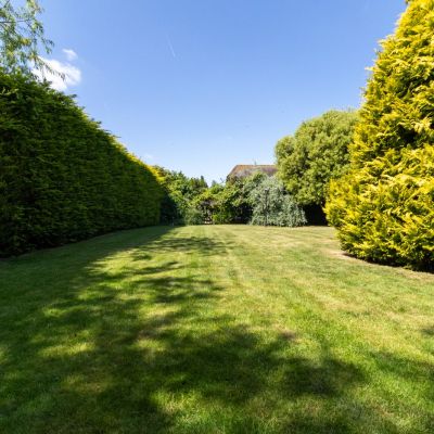 Grounds