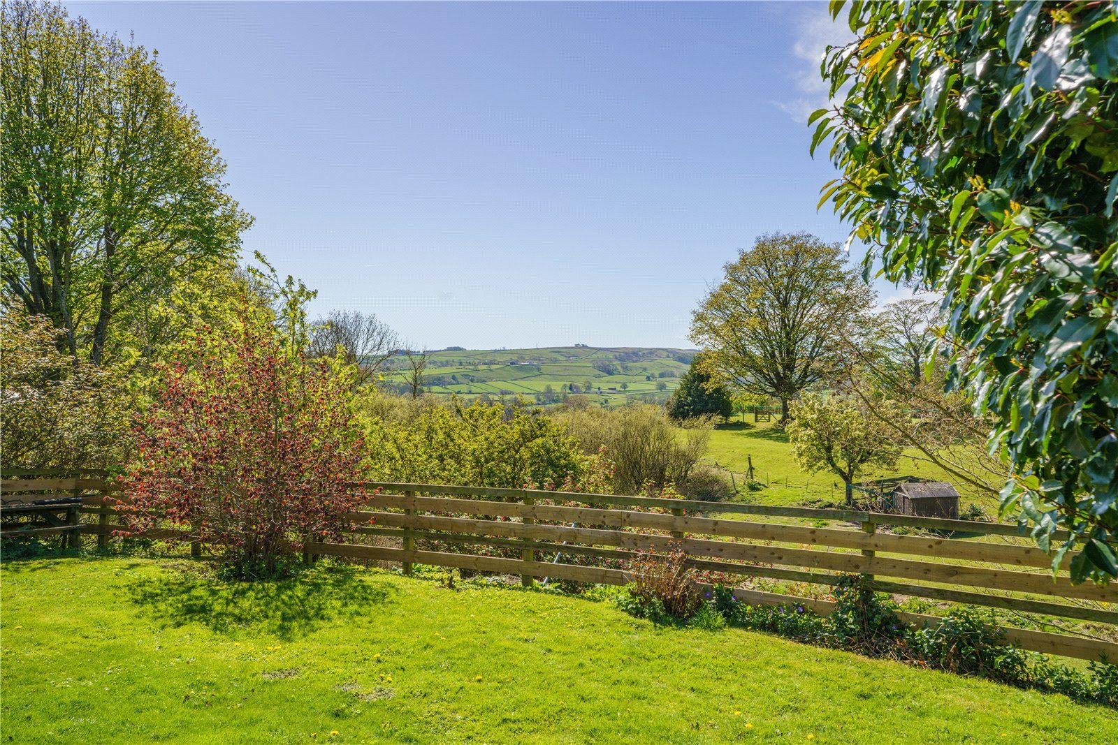 Countryside Views