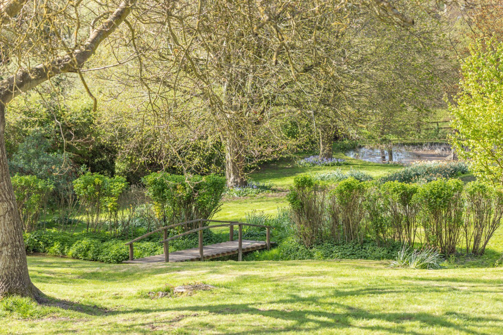 Grounds