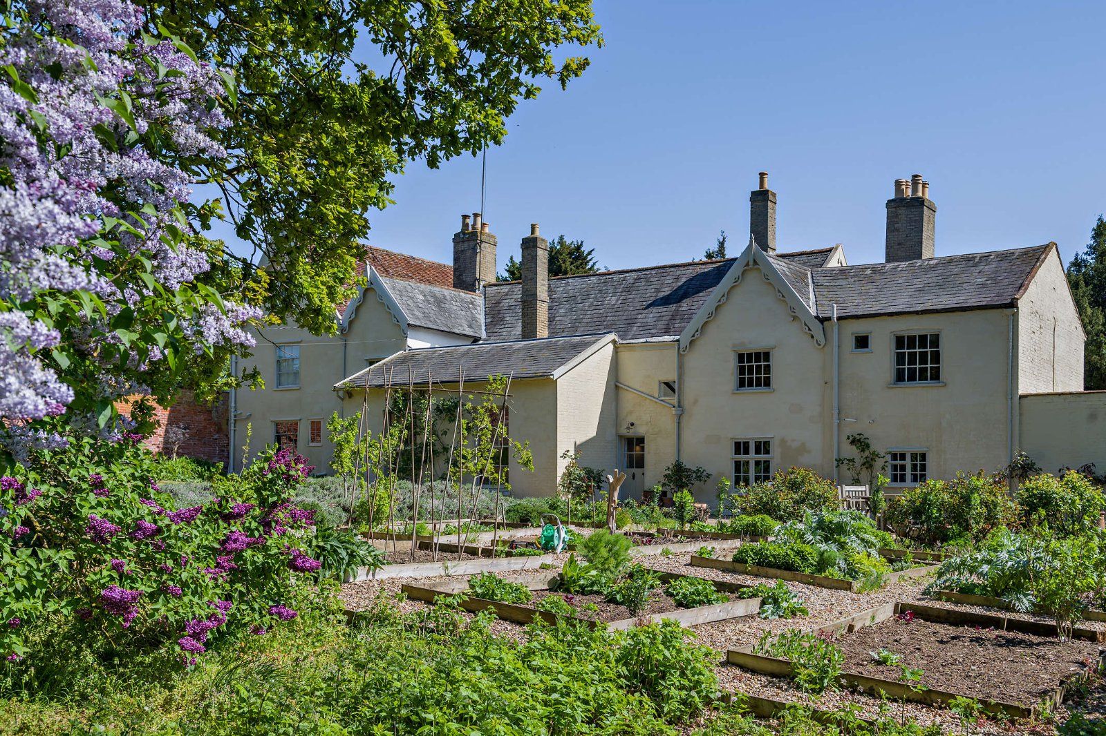 Rear Elevation