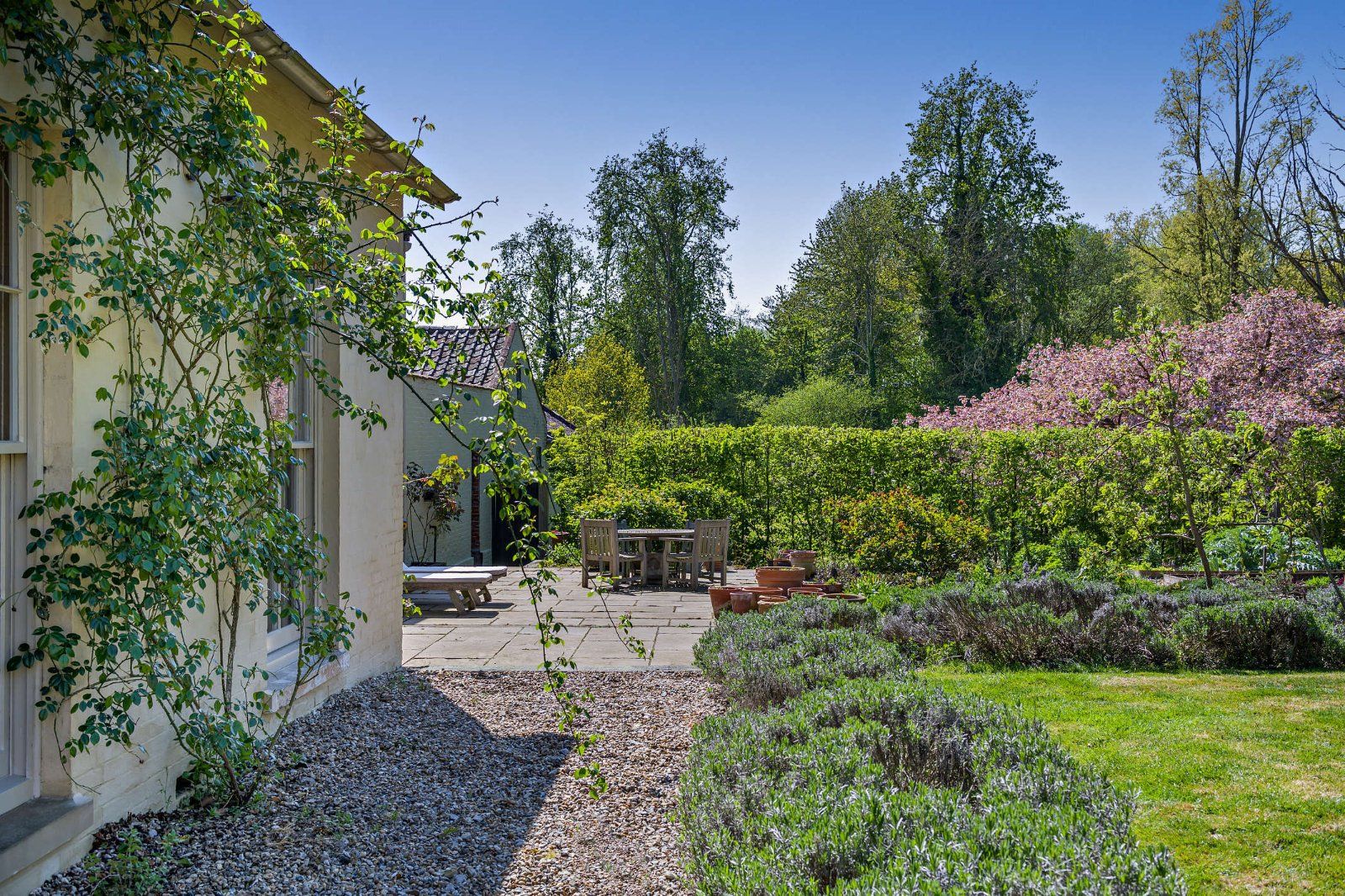 Rear Terrace