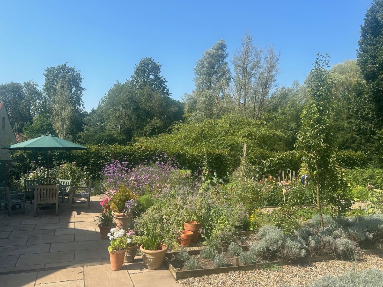 Kitchen Garden
