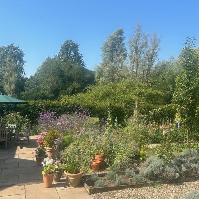 Kitchen Garden