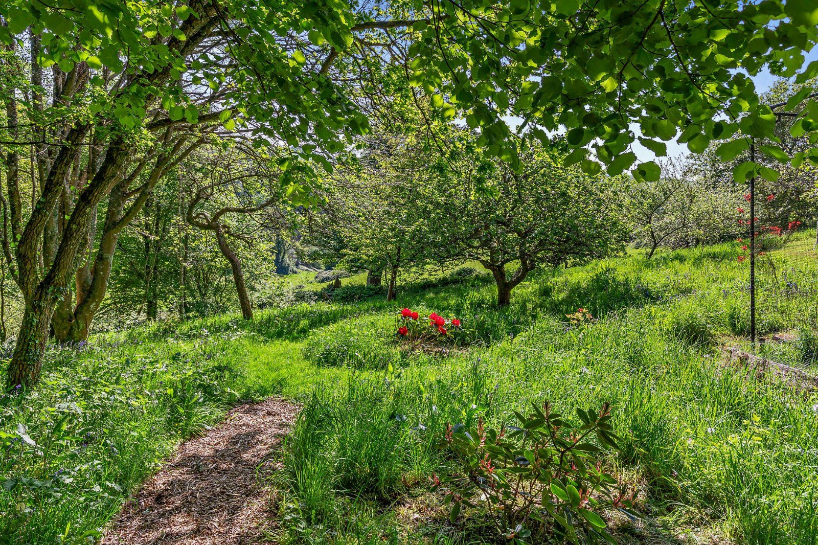 Grounds